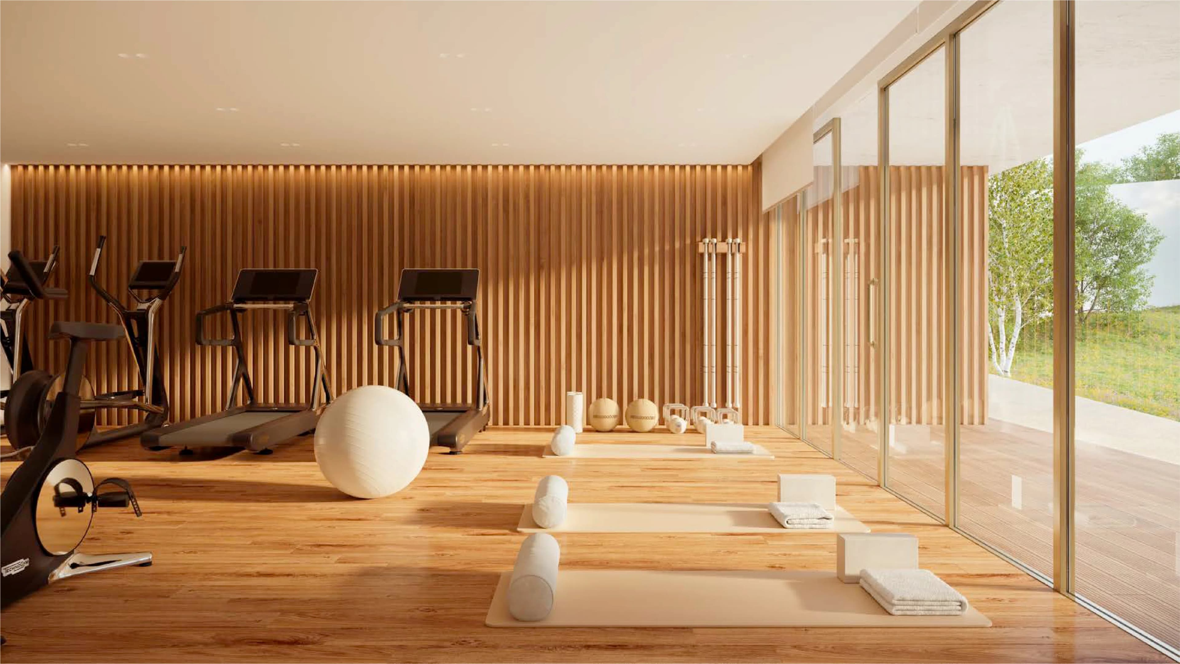 RAIZ Avenida Parque vista 4