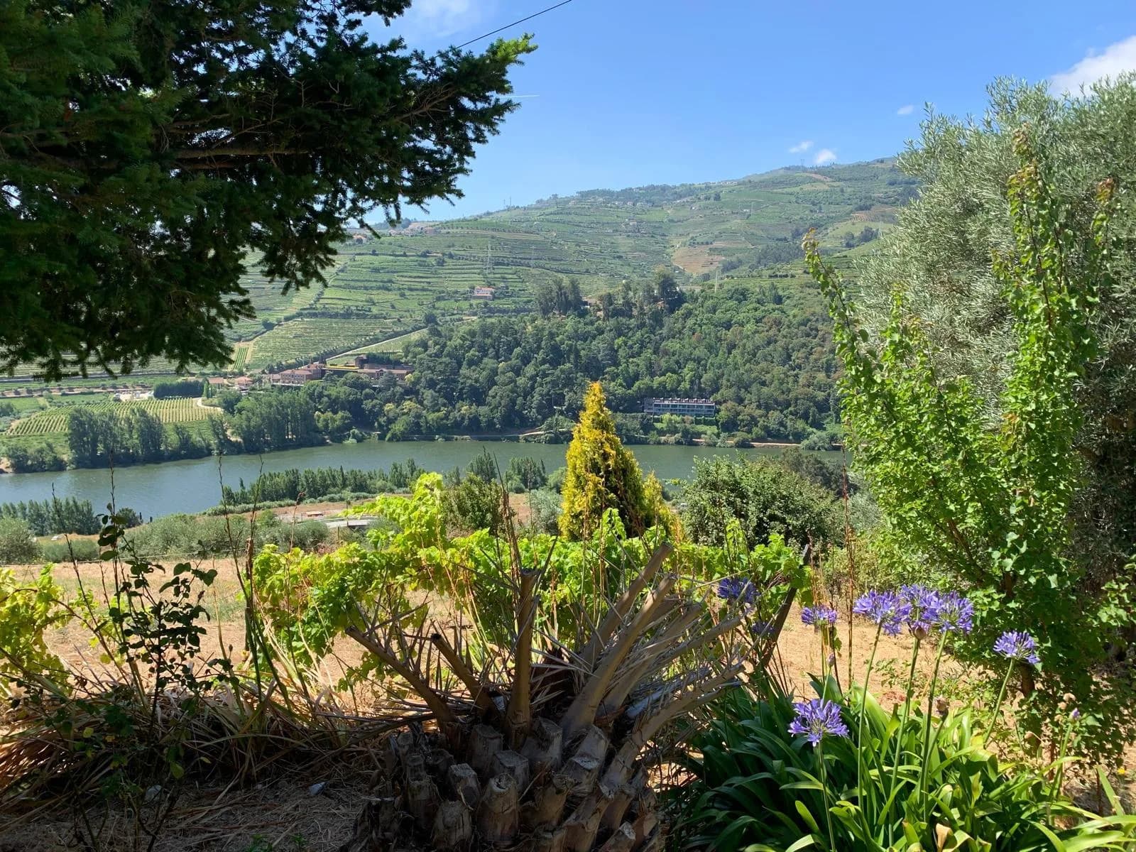 Villa Douro | Terreno exclusivo com projeto aprovado e vista panorâmica sobre o vale do Douro